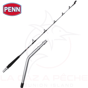 ALLY II Electric deep drop swivel top 1 (2) (1)